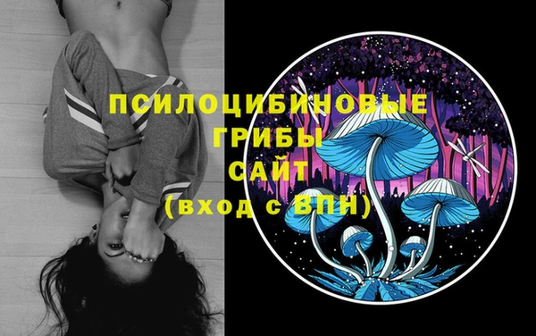 Альфа ПВП Абдулино