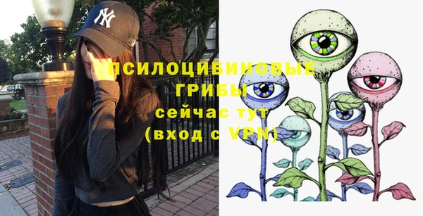 хмурый Абаза